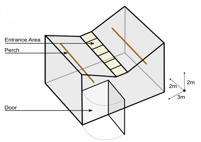 Crow Bait Trap Cage
