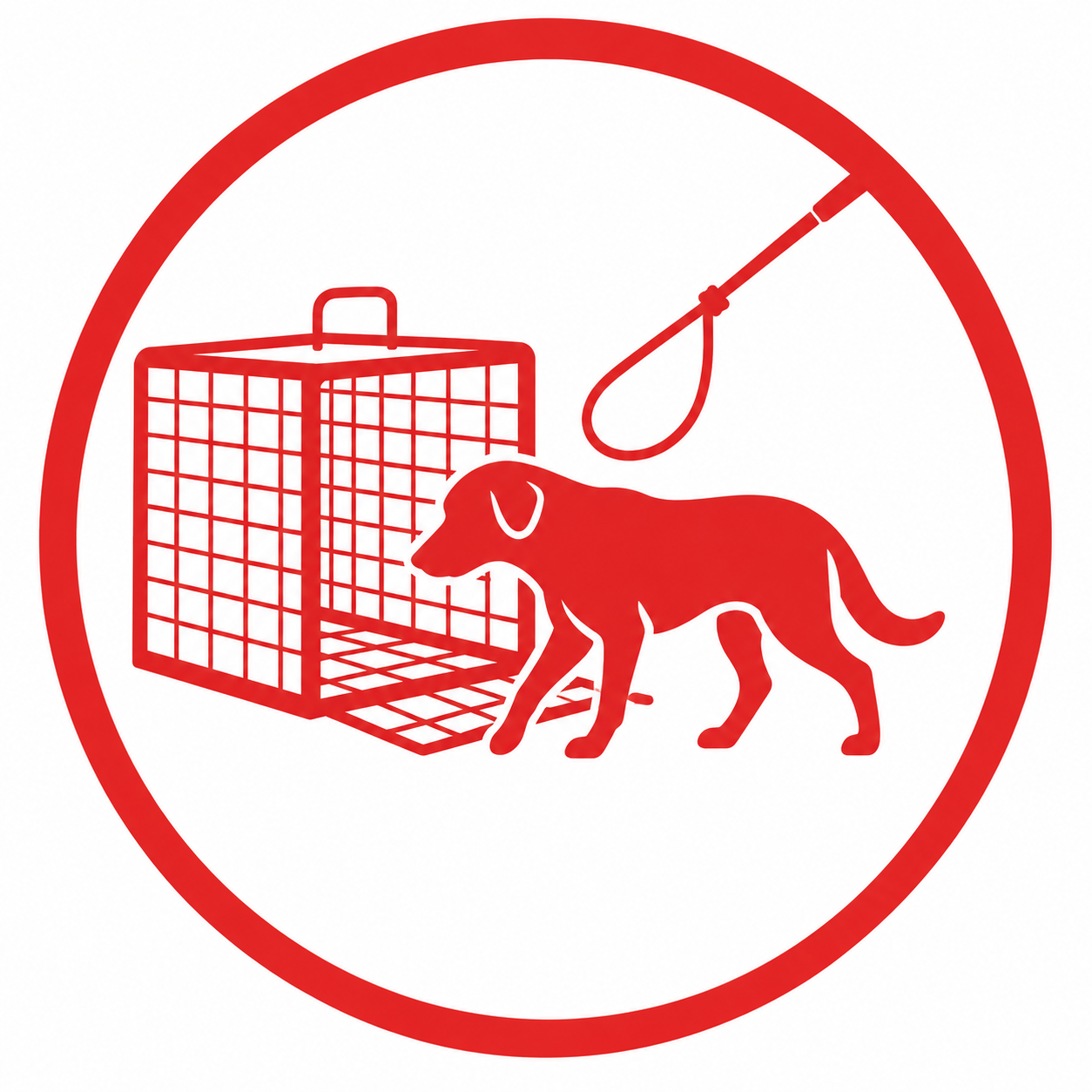 Stray Dog Trapping